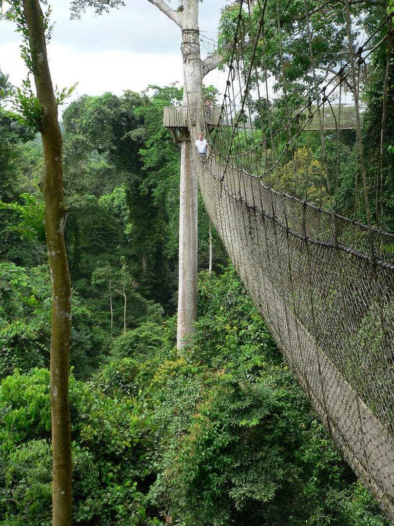 Top Ghana Tour Packages for 2026: Explore Culture, Wildlife & Beaches