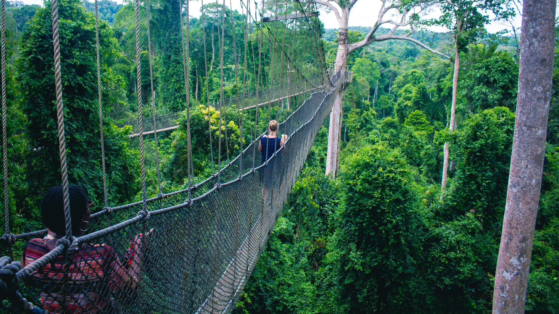 Kakum National Park canopy walkway