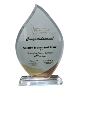 Emerging Travel Agency 2017 Plaque