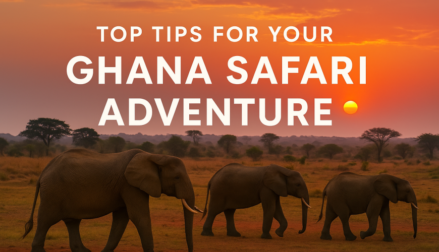 Top Tips for Your Ghana Safari Adventure