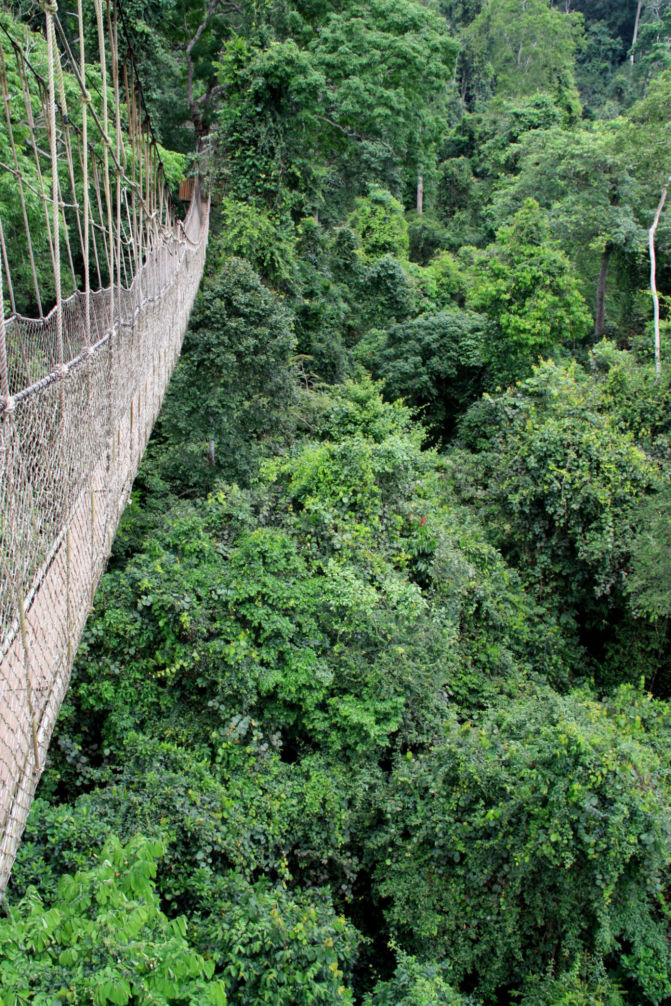 Cape Coast Castle and Kakum Canopy Walk Ghana